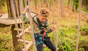 Image result for Go Ape! Grizedale
