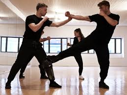 Image result for Somerset Jeet Kune Do
