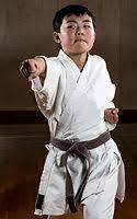 Image result for Seiki Juku Karate Club