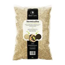 Attēlu rezultāti vaicājumam “Enteridium variabile”