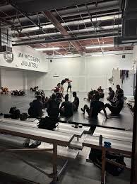 Image result for Derwent Jujitsu Academies