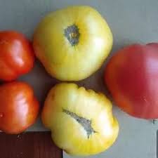 Afbeeldingsresultaat voor anna russian tomato