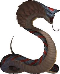 Kuvahaun tulos haulle nagas