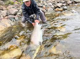 Image result for Segdoune Flyfishers` Angling Club