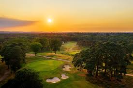 Image result for Woking Athletics Club