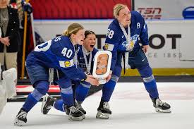 Image result for Ice Hockey International