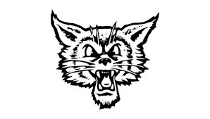 Image result for Plymouth Devils Speedway Club