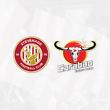 Image result for Stevenage Aqualine SSC