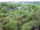 Park Minerals Plan refers - via Daymix