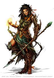 Image result for druid