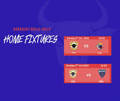 Image result for Bank Top Harriers Arlfc