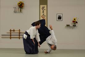 Image result for Aikido - Takama Hara Aikido Dojo