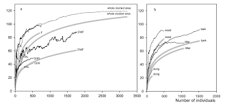 Attēlu rezultāti vaicājumam “Badhamiopsis scripta sessile”