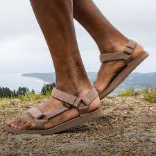 Image result for www.teva.es