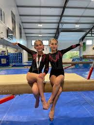 Image result for Heathrow Gymnastics Club
