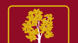 Image result for Frensham Cricket Club