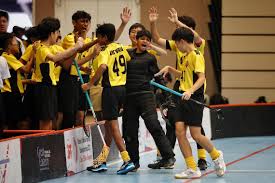 Image result for Basingstoke Demons Floorball Club