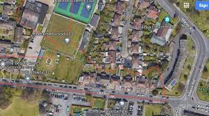 Image result for V C D Athletics Club