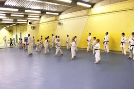 Image result for Kyokushinkai Karate Bradford