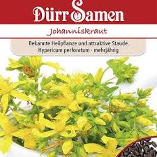 Image result for Johanniskraut