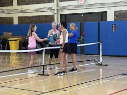 Image result for Circus Junior Badminton Club
