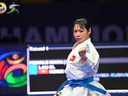 Image result for Northern Freestyle Karate Association