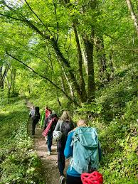 Image result for Clogwyn Mountaineering Club