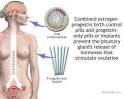 Birth Control and Family Planning Background - Birth Control and ...