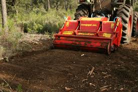 Image result for seppi tehron