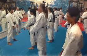 Image result for HEIWA SHOTOKAN KARATE CLUB