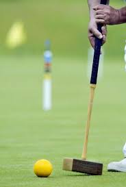 Image result for Bury Croquet Club
