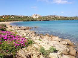 Image result for capo d'orso
