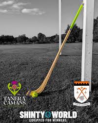 Image result for World of Shinty