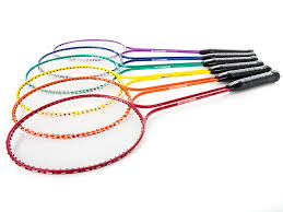 Image result for Rainbow Badminton Club