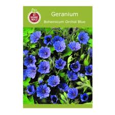 Attēlu rezultāti vaicājumam “Geranium bohemicum”