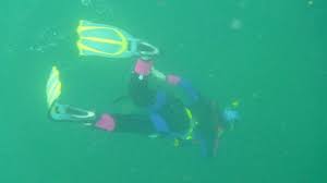 Image result for Ruislip Snorkelling Club