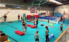 Image result for Gym Stars