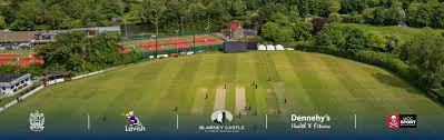 Image result for Gilberdyke Cricket Club