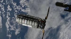 Attēlu rezultāti vaicājumam “Cygnus”