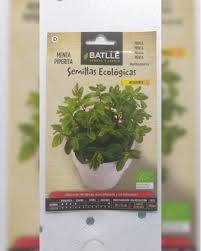 Image result for Menta x piperita