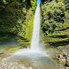 Image result for Cascada