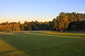 Image result for Mid Surrey Bowls Club