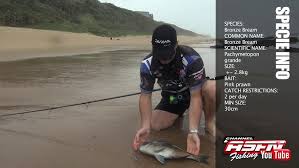 Image result for Pachymetopon grande