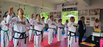 Image result for Absolute tae kwon do association