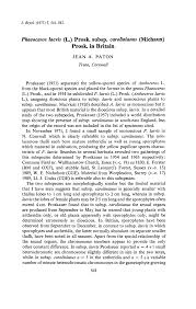 Attēlu rezultāti vaicājumam “Phaeoceros laevis subsp. carolinianus”
