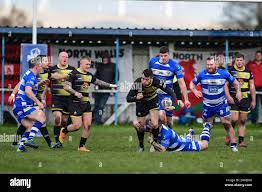 Image result for Mayfield Rugby League Football Club