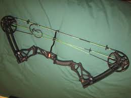 Image result for Panther Bowhunters Field Archery Club