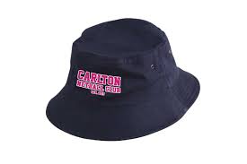 Image result for Carlton Netball Club