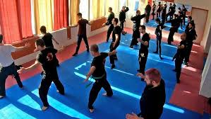 Image result for M-S-N Ninjutsu (Bujinkan) Club