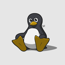 Image result for linux penguin